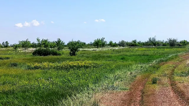 Волгоград — Палласовка